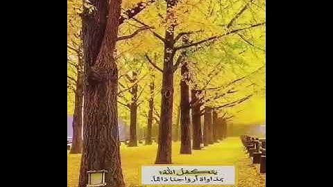 سورة آل عمران ،الآيات (٢٦-٢٧)