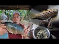 SE02EP12  - ADOBONG SNAKE / SOFT SHELL TURTLE at ang CRISPY KARPA ni Aidol HOGAN