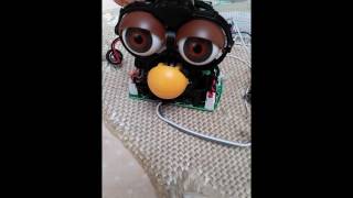 Furby Eyelid Fix