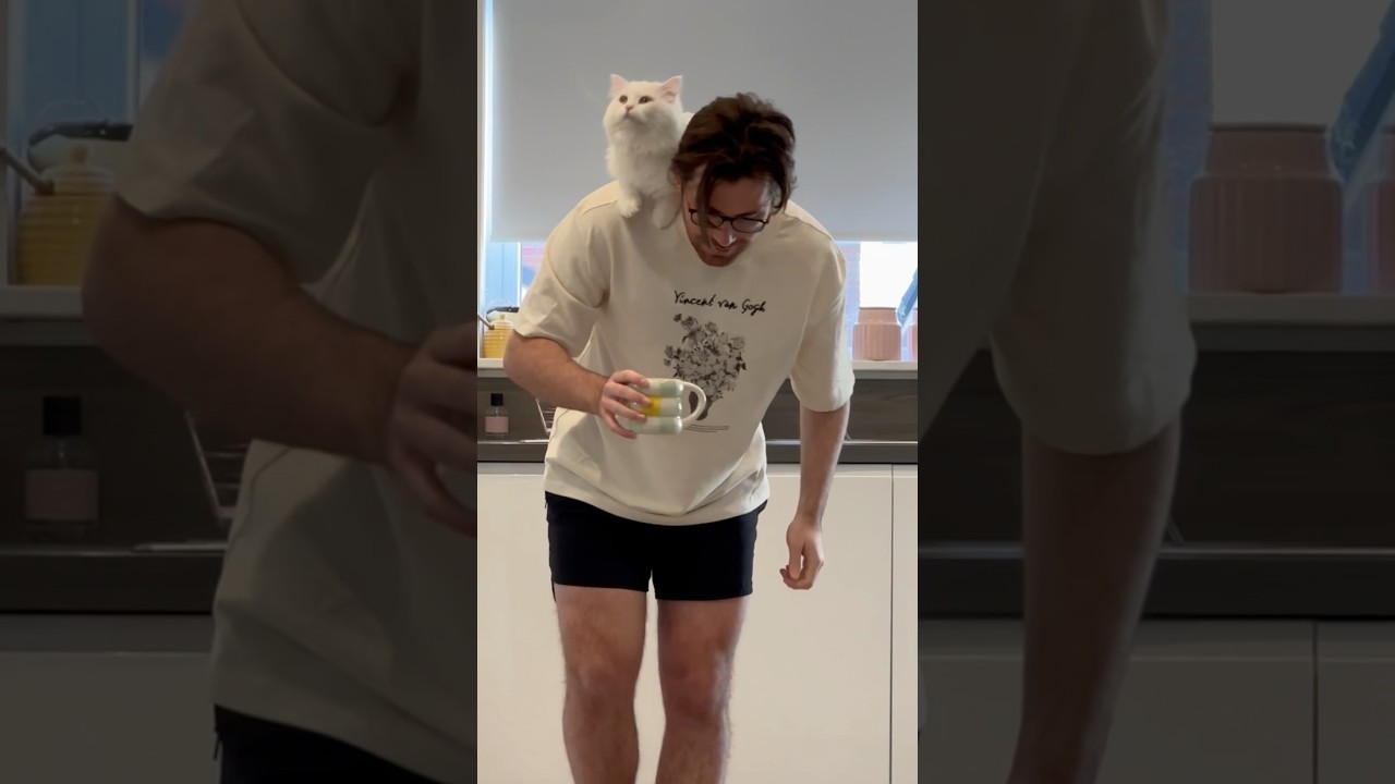 Pancake is hungry for ankles this morning 😂 Donut actin’ all high and mighty 👑