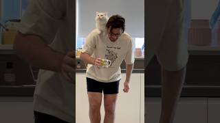 Pancake Is Hungry For Ankles This Morning Donut Actin All High And Mighty