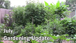 July Gardening Update and Tour - The Harvests Are Getting Bigger!