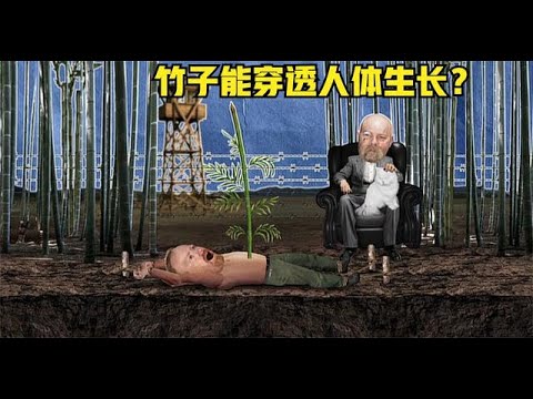 《流言终结者》53：竹子酷刑，竹子生长3天就能穿透人体？