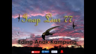 INAP LIUR 77 || ORIGINAL BY ANDI SUFAR