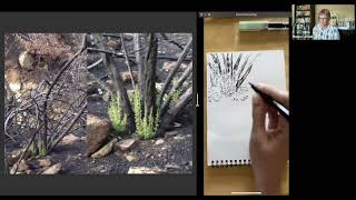 The Cold Canyon Fire Journals