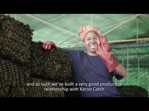 Video: Skor Seafood Berkelanjutan Dengan Cape Seafood Dan Ketentuan
