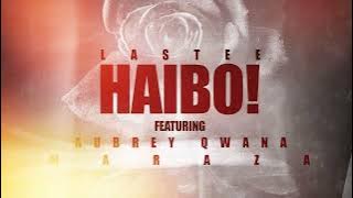 Haibo (feat. Aubrey Qwana & MarazA)  Audio