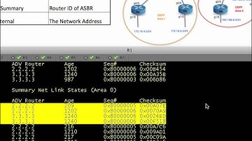 OSPF LSA Types for IPv4