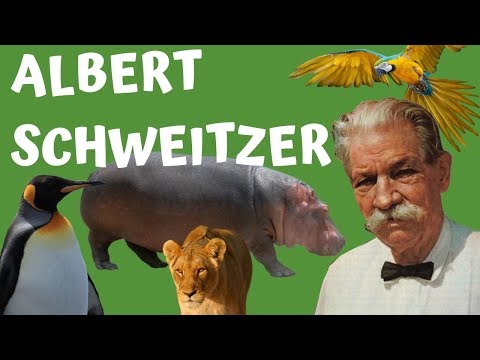 Wideo: Albert Schweitzer: Biografia, Kariera, życie Osobiste