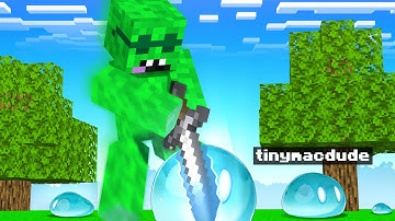 The Craziest Hide and Seek in Minecraft