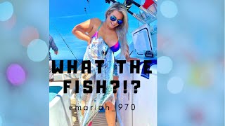 First African POMPANO and it's HUGE! *FISHING Florida Gulf
