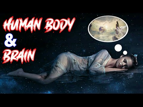 10 Amaizing Facts about Human Body & Brain That You Need to Know || fact & fiction বাংলা || PJPAF