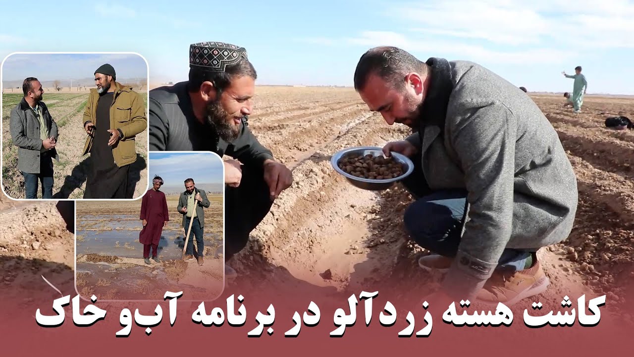 کشت‌و کار در  روستای پل‌سالار  - ولسوالی انجیل