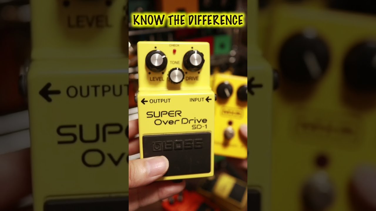 BOSS SD-1とMXR DS+の違い🎸#bosseffects #bosssd1 #mxrpedals