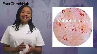 How true be di claim sey person wey get typhoid fever chop person shit?