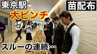 【東京の壁】こんなはずではなかった。。。【園芸超人カーメン君】