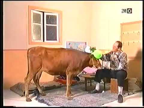 سلسلة عنداك اميلود A1 عنوان الحلقة الخطبة