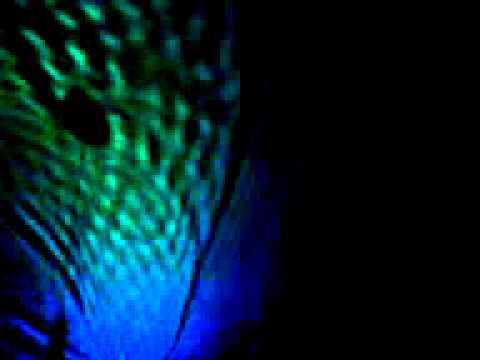 Spreewaldtherme