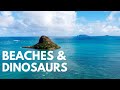 Hawaii Things to Do on Windward Oahu | Lanikai Beach to Kualoa Ranch