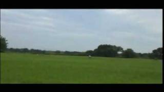20090823 平田リバーサイドプラザ・クリテリウム　C4