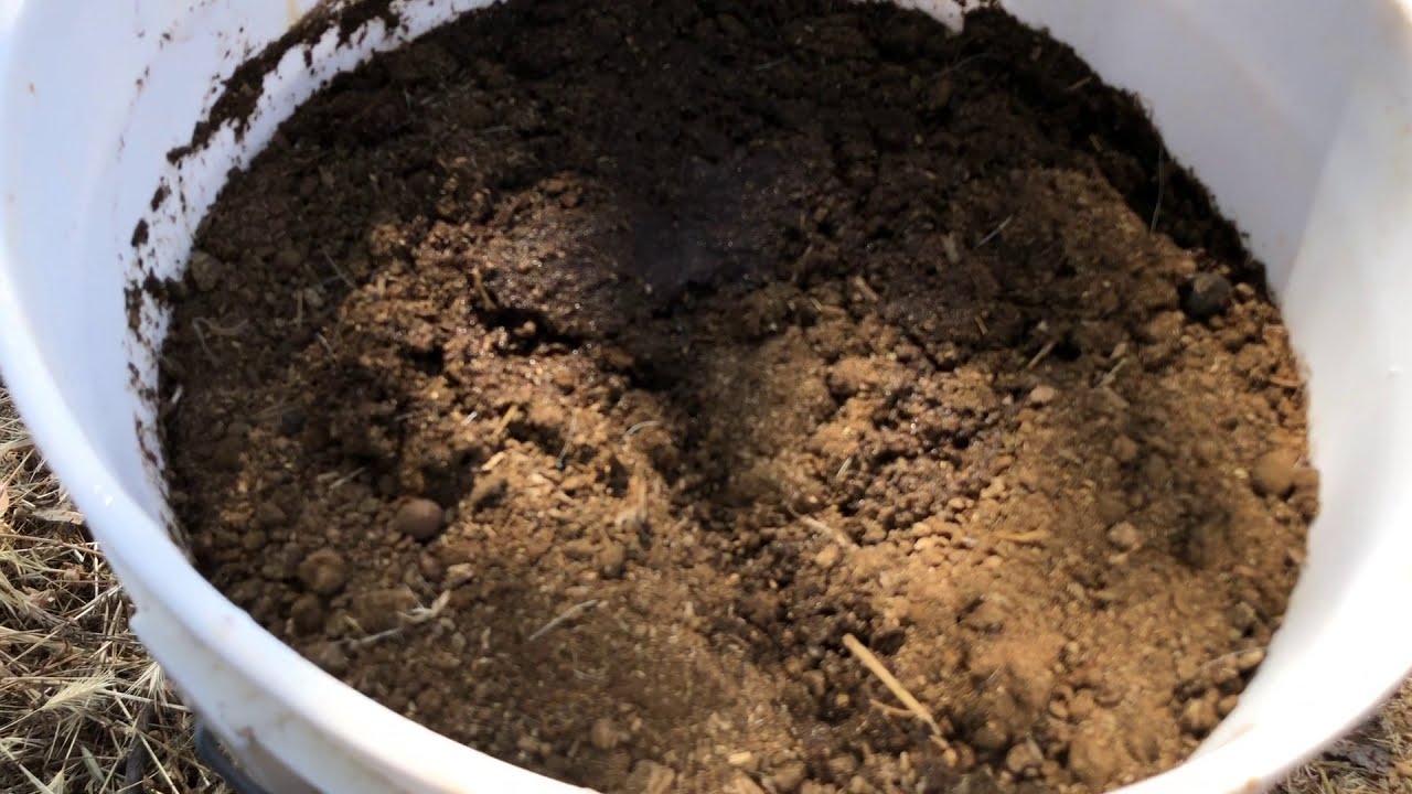 Abono de Estiercol de Borrego o Cordero 