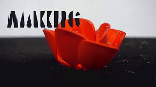 Self folding tulip, TU Delft, Prof Amir A Zadpoor