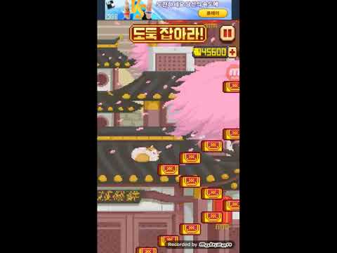 무개 버그로 도둑잡기(상황극)