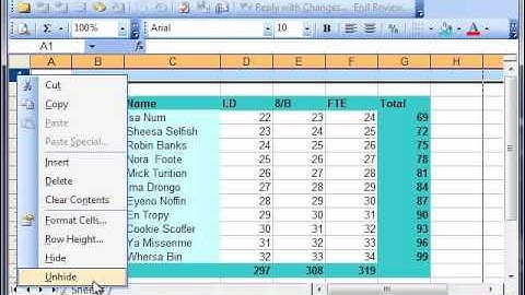 Hiding rows and columns Microsoft Excel