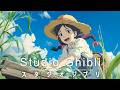 【Relaxing Ghibli Piano Music】ジブリメドレーピアノ💖史上最高のジブリピアノコレクション ️🎉千と千尋の神隠し、となりのトトロ、崖の上のポニョ、風の谷のナウシカ、風立ちぬ