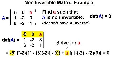 Linear Algebra: Ch 2 - Determinants (23 of 48) Non-Invertible Matrix: Example