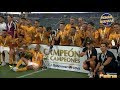 Tigres vs Santos 4-0 RESUMEN Campeón De Campeones 2018 HD