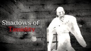 4TH WALL BREAK! | Shadows of Timidity