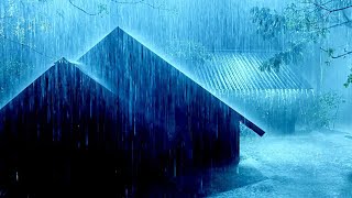 Rain & Thunderstorm Sound, Nature & Rain Sounds to Relax, Meditate, Study & Fall Asleep #real #rain