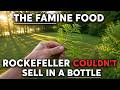 The Famine Food Rockefeller Couldn’t Sell In A Bottle