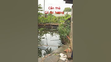 Cần thủ câu cá và cái kết #dulich #cầnthủ #cauca