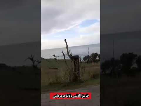 طريق دلس في هاذا ألبوم الممطر