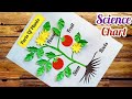 Science tlm for 6 to 8 / Science Project for class 8 / tlm making process