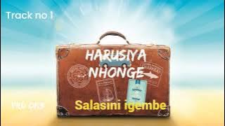 SALASINI IGEMBE _ _ Harusi y nghonge  (official audio & Lyric video)