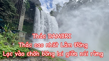 #39- Thác DAMBRI -1 trong 5 thác tuyệt đẹp của Lâm Đồng - Lạc bước chốn bồng lai giữa núi rừng.