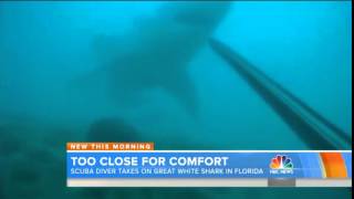 Scuba diver takes on great white shark in Florida