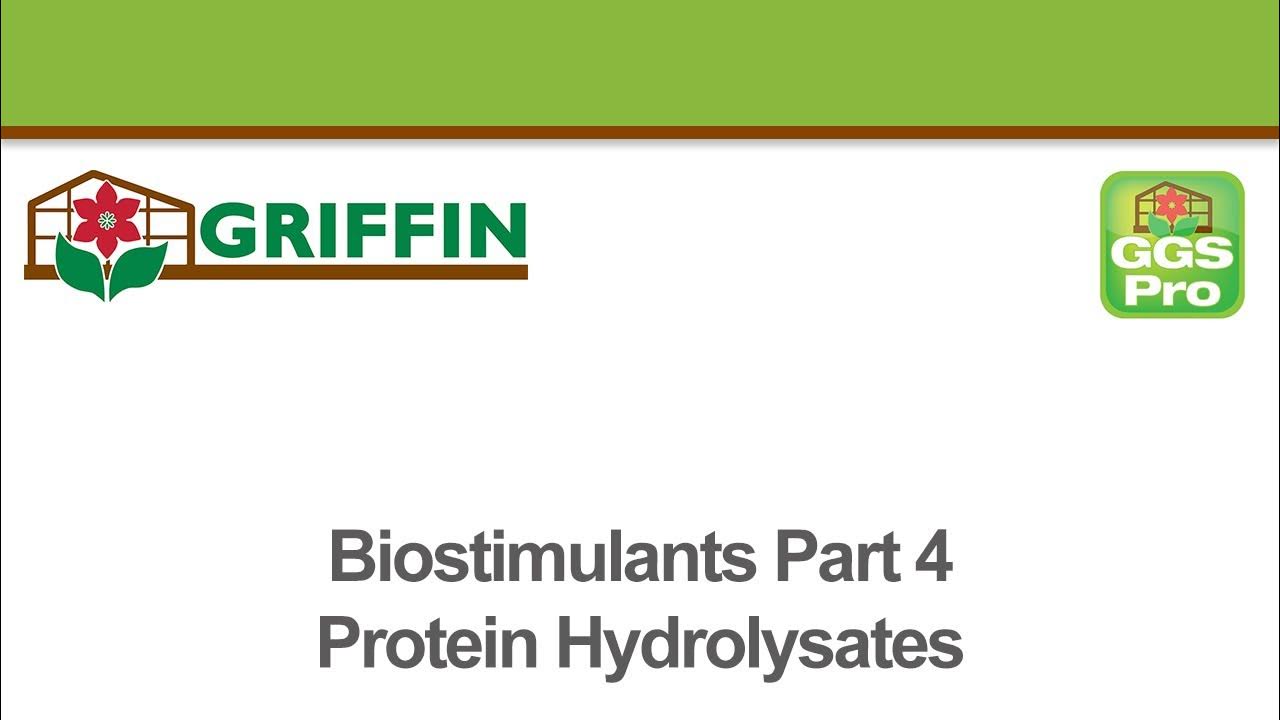 Biostimulants Part 4 Protein Hydrolysates YouTube