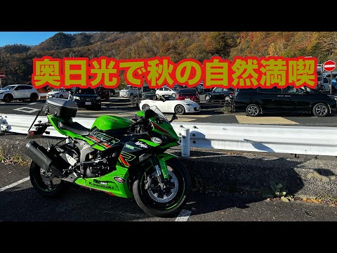 バンド タオル 楽天市場】ハンドタオル バンドタオル ナイトdeライト
