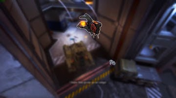 Did he just tea bag me with a wasp in Halo Infinite #shorts