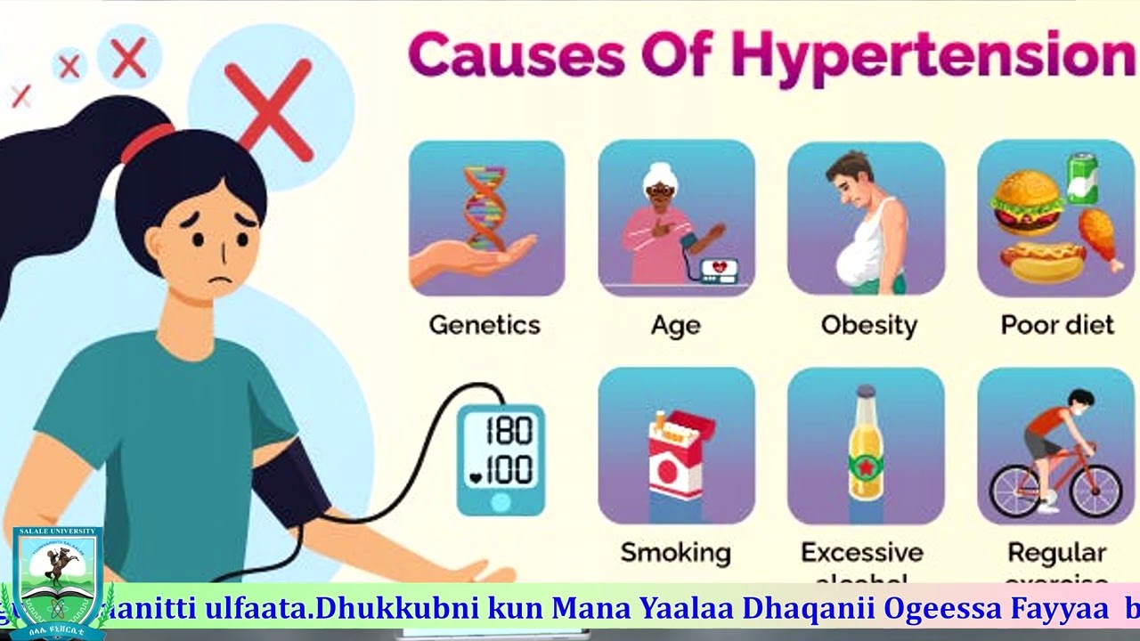 Sagantaa Hubannoo Barnoota Fayyaa Dhiibbaa Dhiigaa