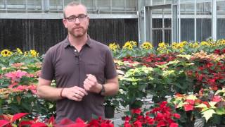 Dr. Jackson - HS 201 - Introduction to Horticulture