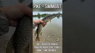 Stop Using the Wrong Lure | How to Match Baits to Bass, Pike, Walleye & Trout#swimbait #fishinglures