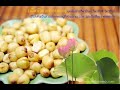 Roasted lotus seeds  dried crispy lotus seeds roasted  lotus seeds from thailand