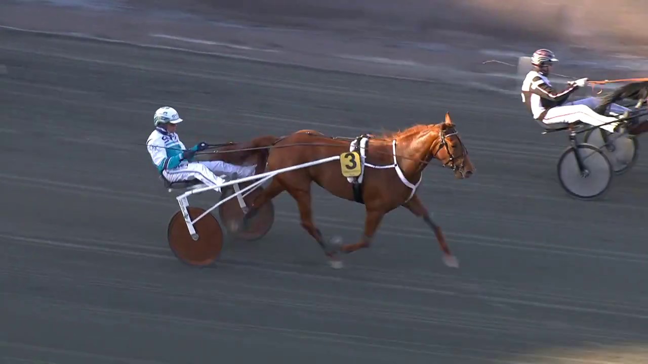 Svenskt Trav-Oaks 2018