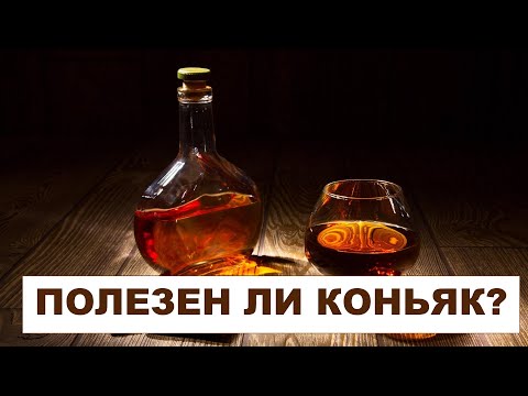 Видео: Как е полезен конякът?