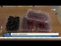 Produktet tradicionale të banorëve të komunës së Dragashit u prezantuan në panairin tradicional